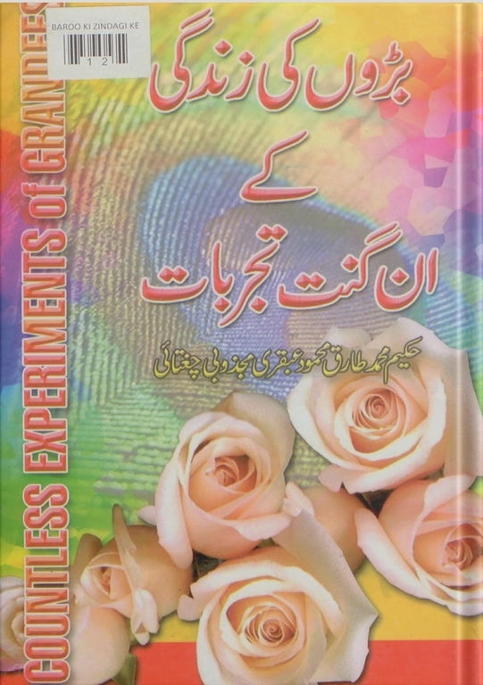 buy ubqari countless experiences adult life book spiritual wisdom stories for peaceful happy living